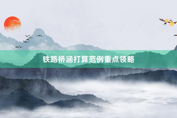 铁路桥涵打算范例重点领略