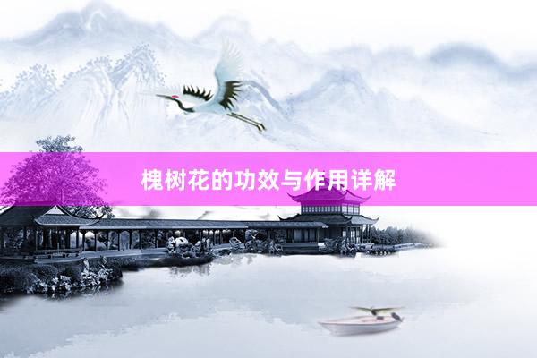 槐树花的功效与作用详解