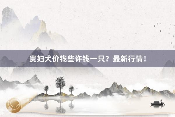 贵妇犬价钱些许钱一只？最新行情！