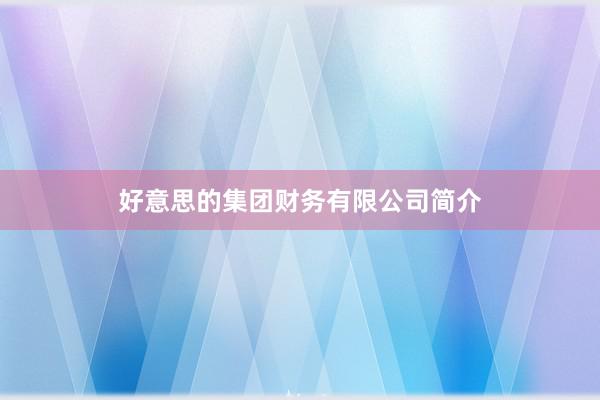 好意思的集团财务有限公司简介